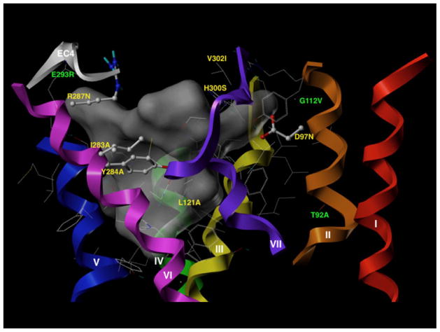 Fig. 7