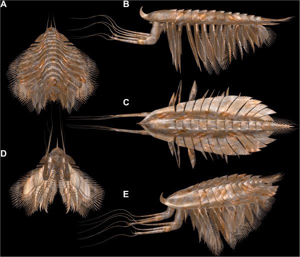 Figure 11