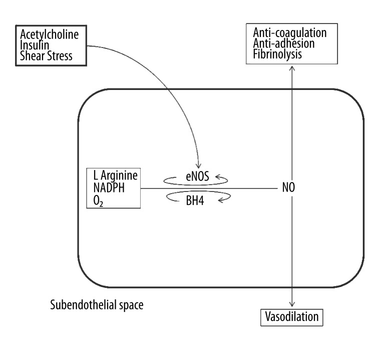 Figure 2A