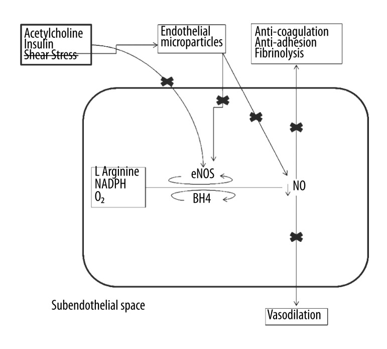 Figure 2B