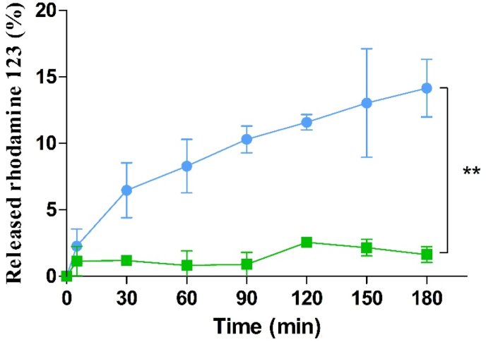 Figure 7