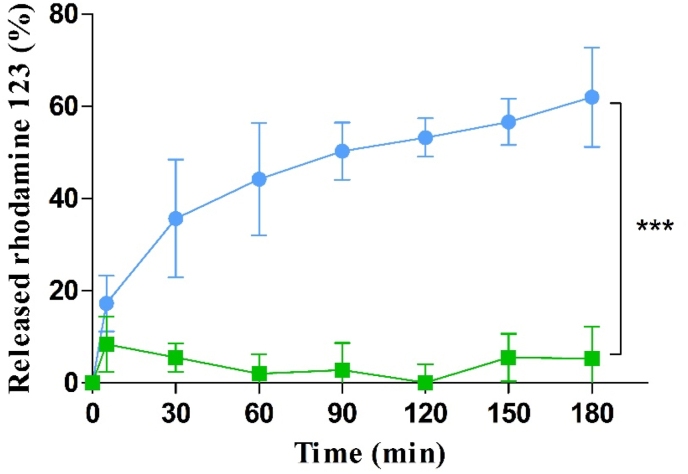 Figure 6