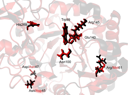 FIGURE 4.