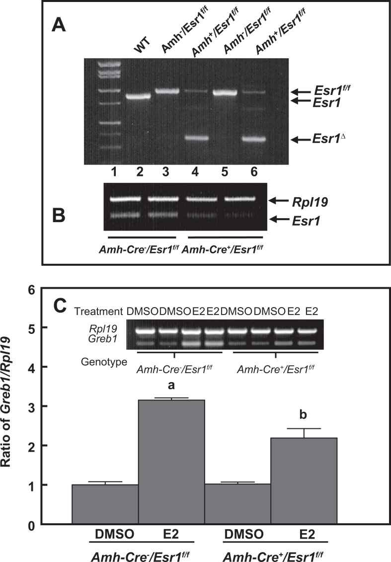 Figure 9.