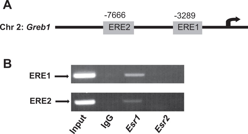 Figure 10.