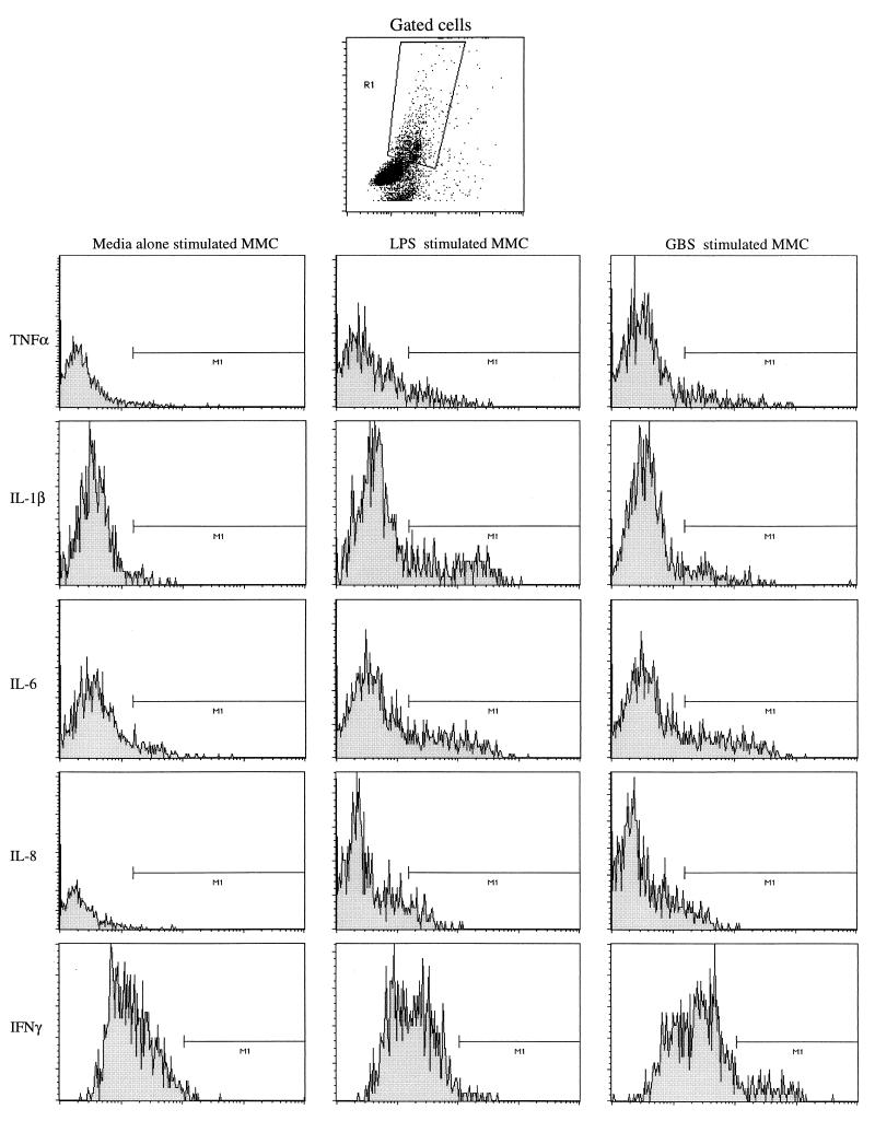 FIG. 1