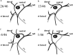 Figure 5