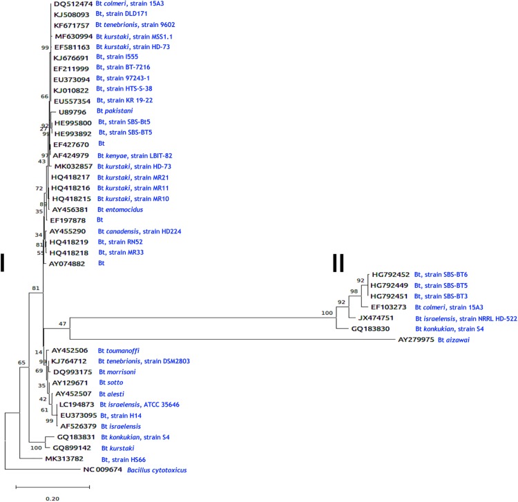 FIGURE 3