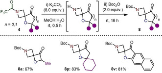 Scheme 4