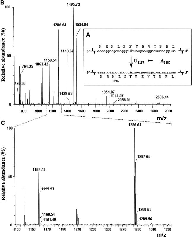 Figure  2