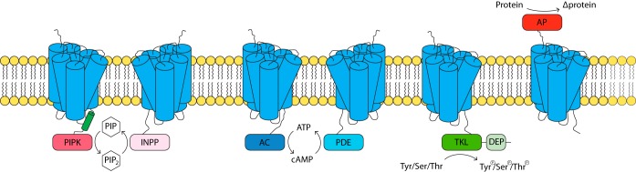 FIG 4 