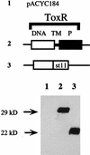 FIG. 8