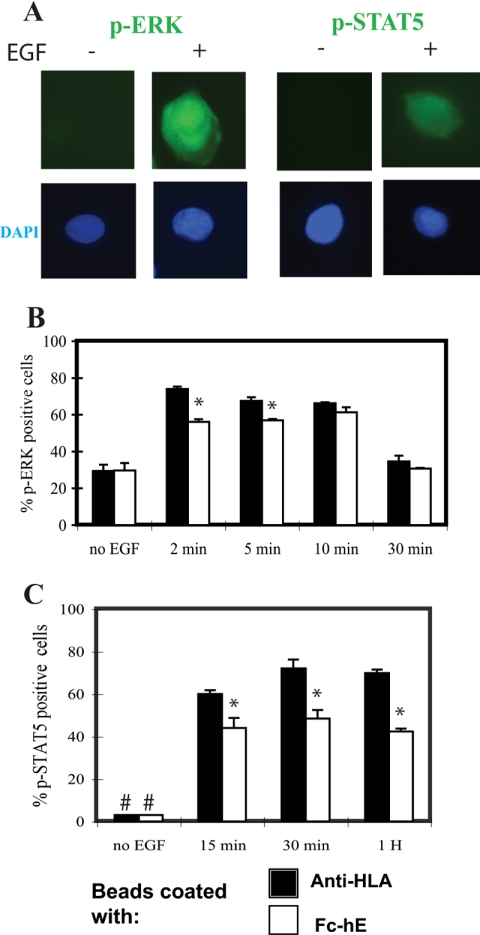 Figure 9.