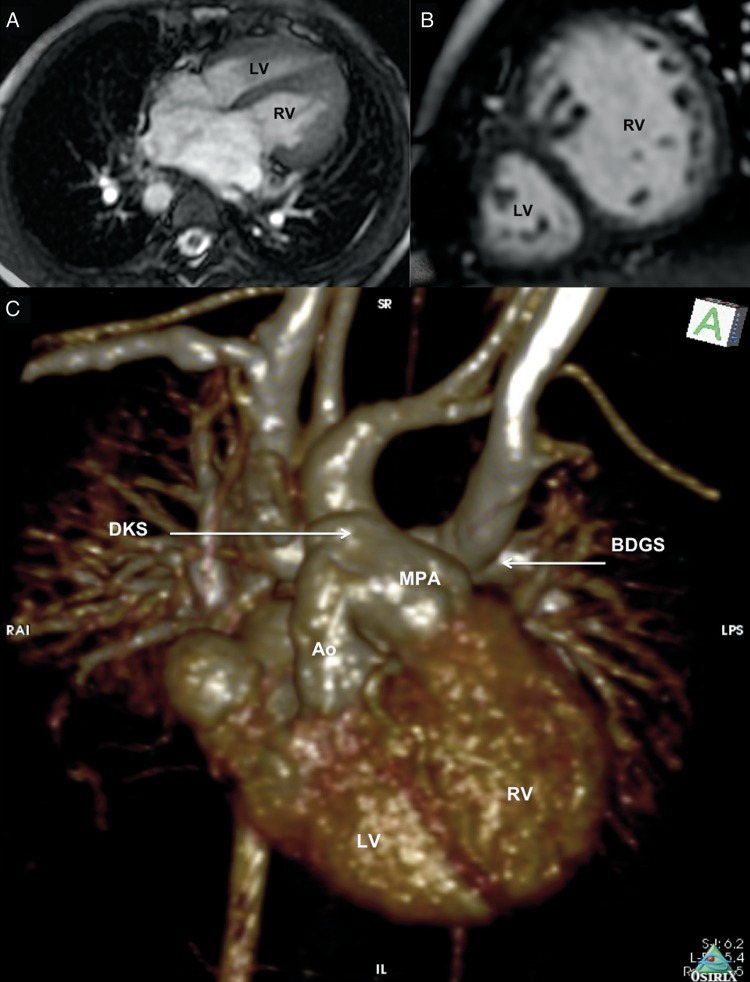 Figure 2: