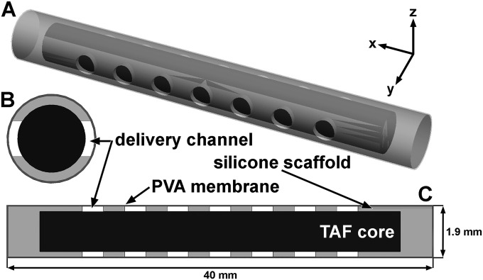 FIG 1