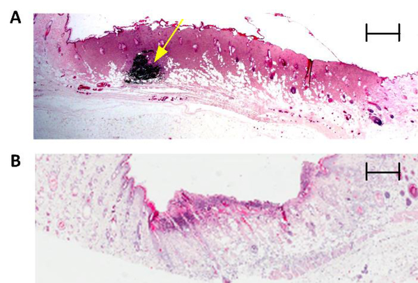 Figure 2: