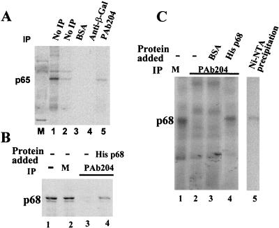 FIG. 1.