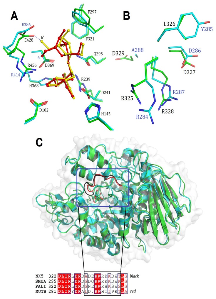 Figure 4