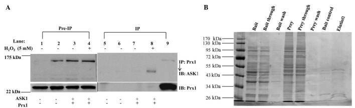 Figure 5.