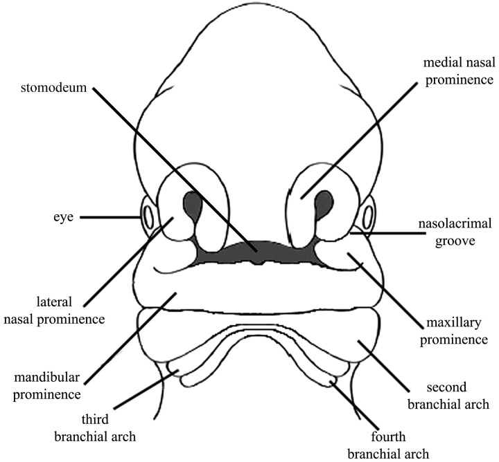 Fig 2.