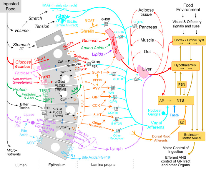 Fig. 2