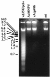 FIG. 8