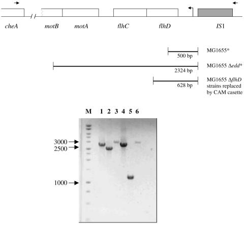 FIG. 8.