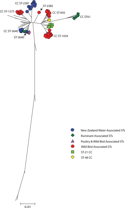 FIG. 3.