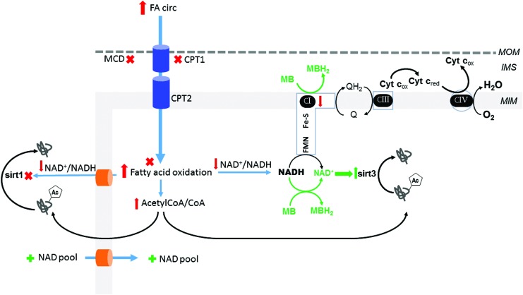 FIG. 6.