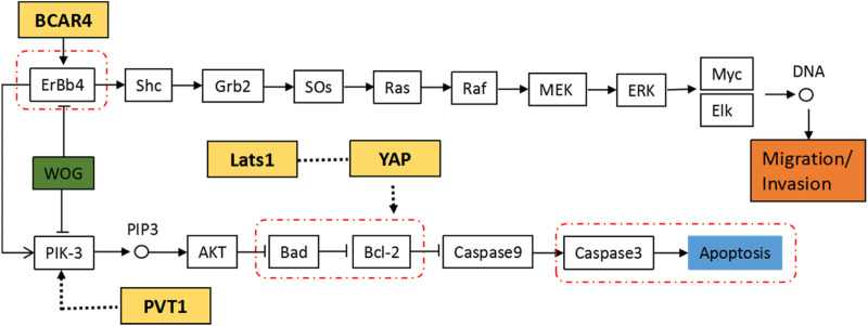 FIGURE 11