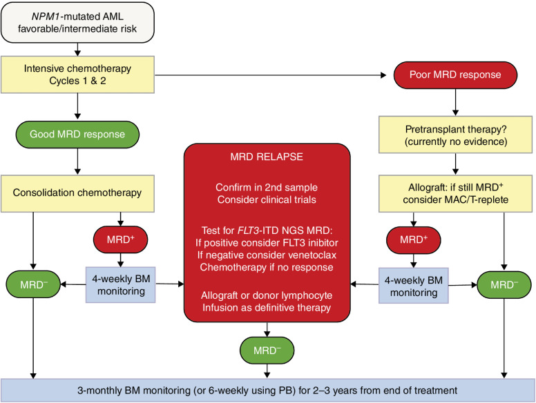 Figure 4. Possible approach to the incorporation of MRD into treatment algorithms for patients with NPM1-mutated AML.