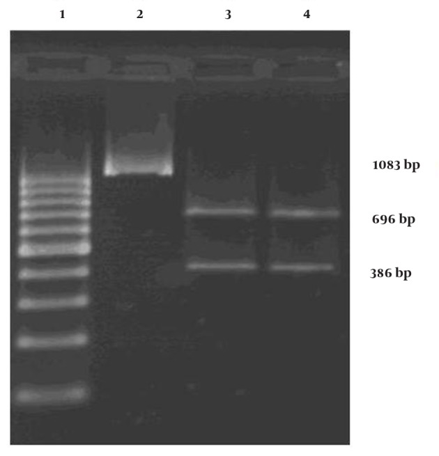 Figure 4.