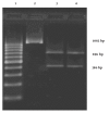 Figure 4.