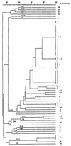 FIG. 1.