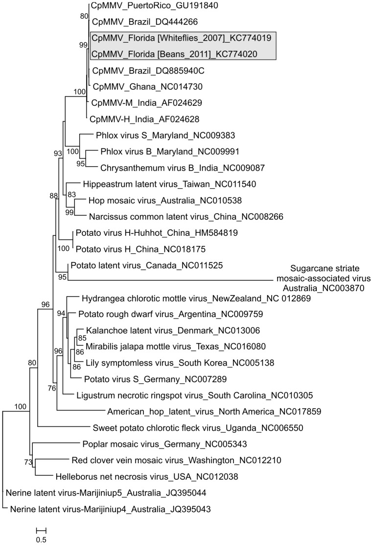 Figure 2