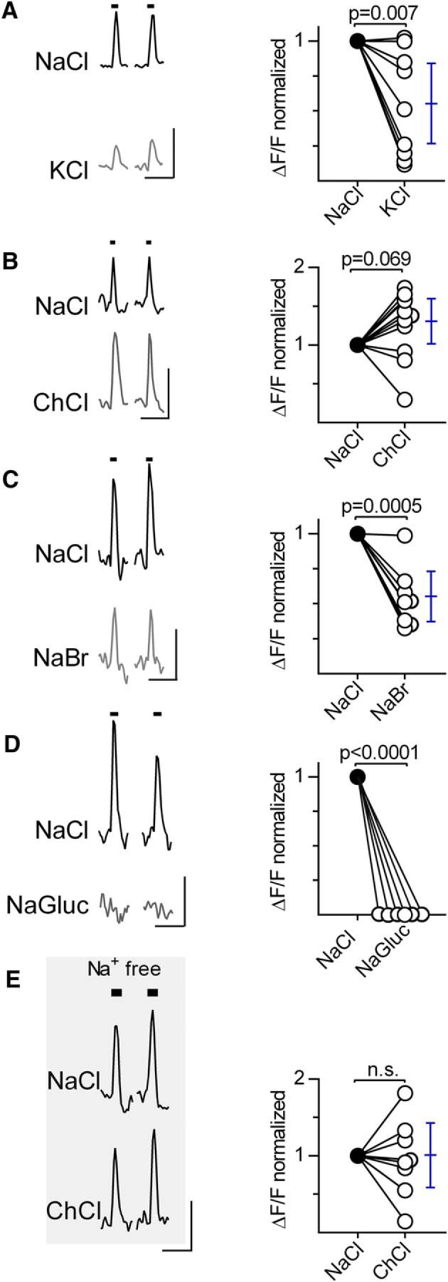 Figure 5.