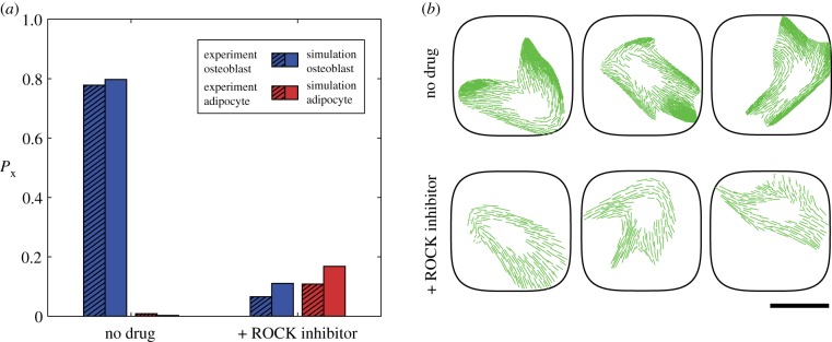 Figure 10.