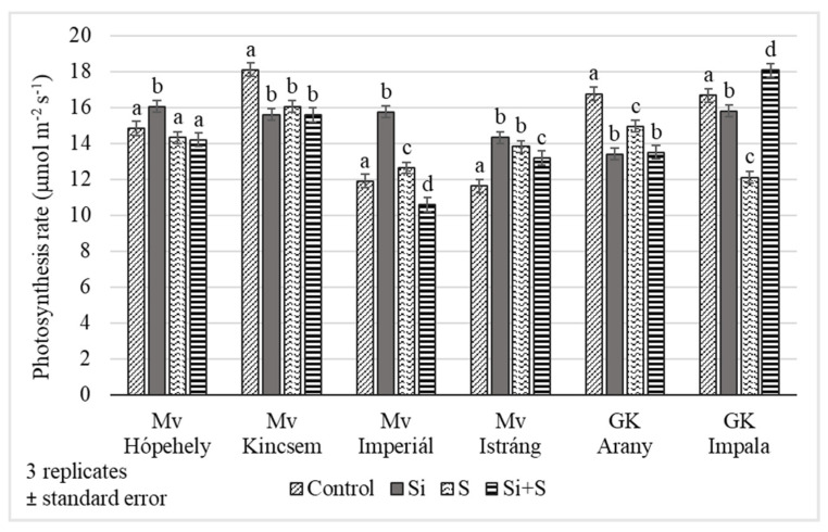 Figure 5