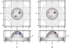 Fig. 16