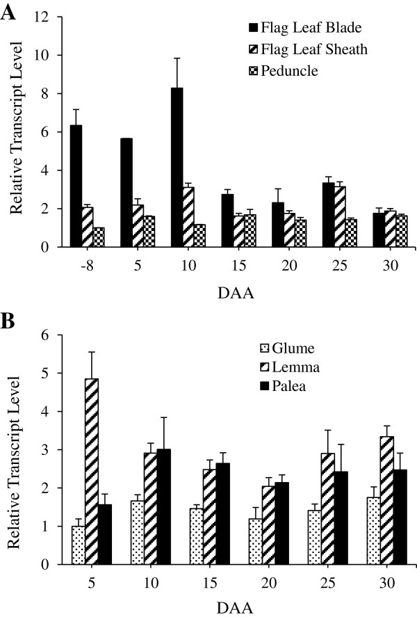 Figure 7