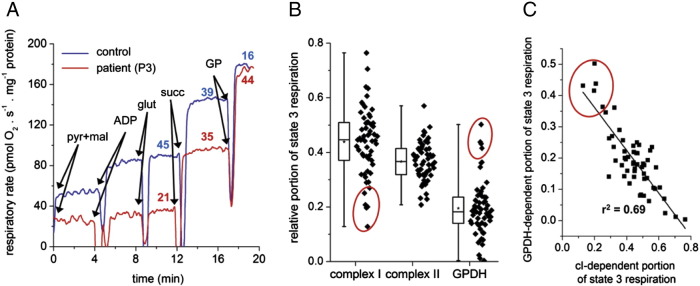 Fig. 4