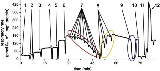 Fig. 2