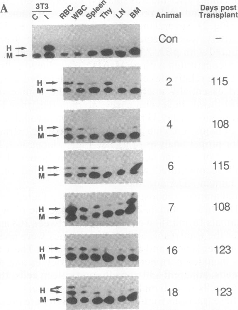 graphic file with name pnas01026-0461-a.jpg