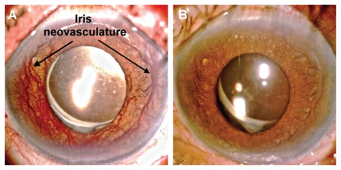 Figure 1: