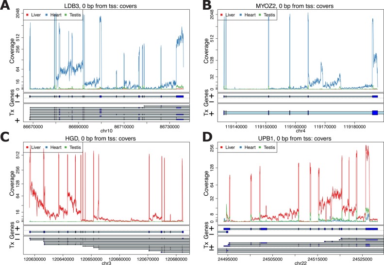 Figure 3.