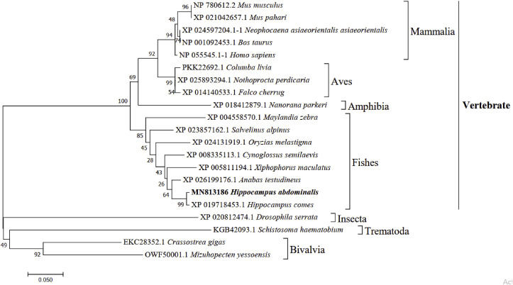 Fig. 3