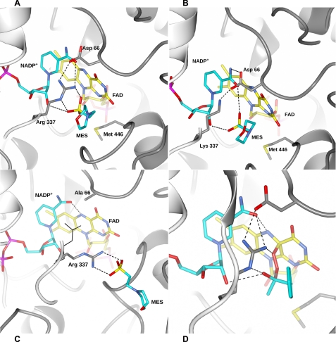 FIGURE 4.