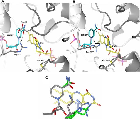 FIGURE 2.