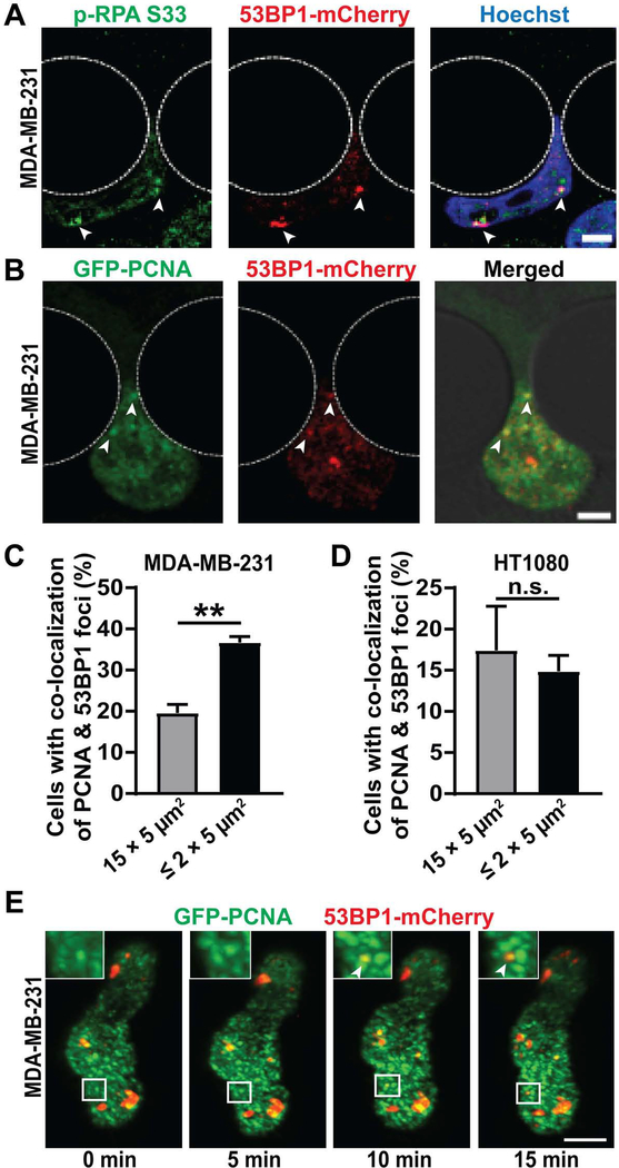 Figure 4: