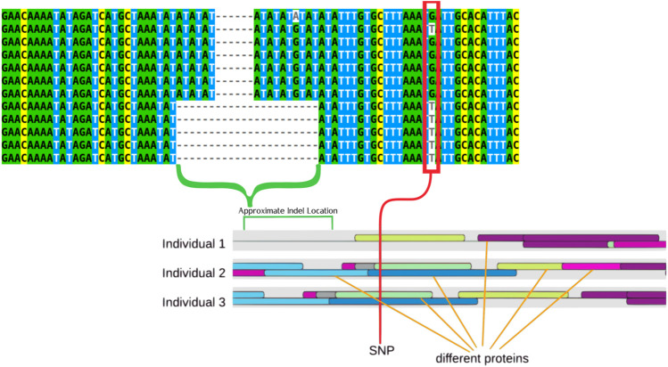 FIGURE 2